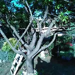 Nado Majica Apartamento Sveti Filip i Jakov
