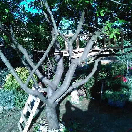 Nado Majica Apartment Sveti Filip i Jakov